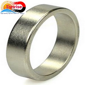 UAE Magnets | Coated Ring Magnets-04